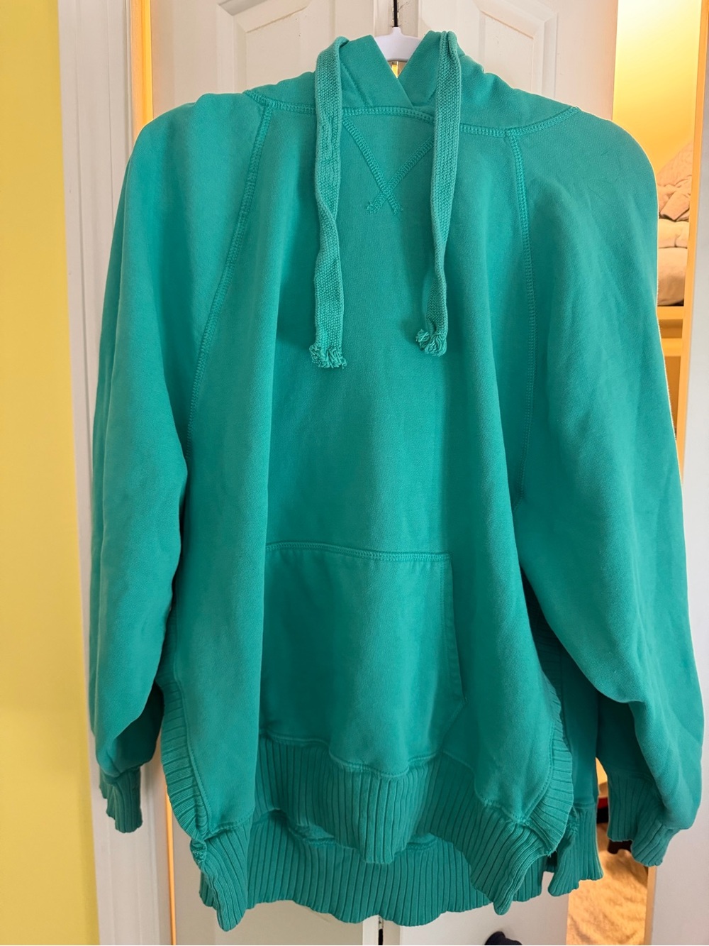 American Eagle Outfitters Teal Pullover Hoodie